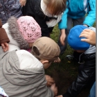 Święto Drzewa